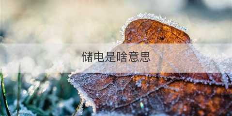 储电与电瓶电力恢复仪 原理、作用与应用